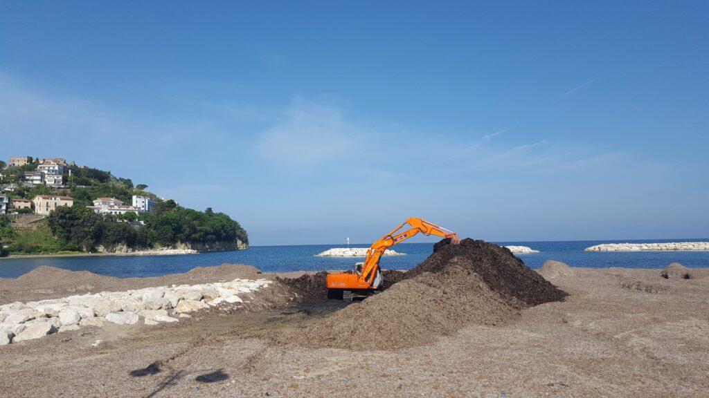 Risultati immagini per rimozione posidonia spiaggiata agropoli