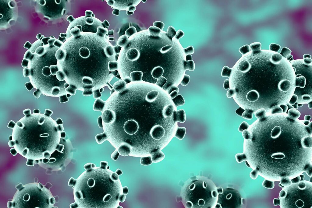 Risultato immagini per coronavirus