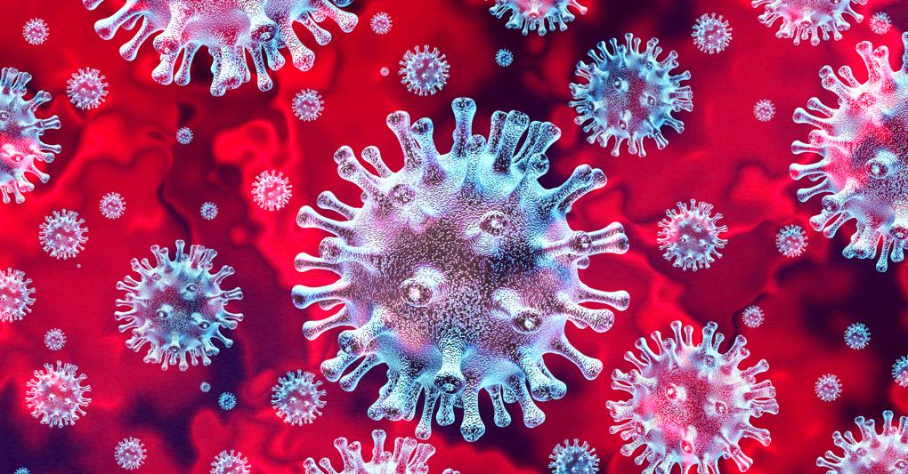 Covid-19, dopo la malattia siamo protetti contro il virus? - Il Sole 24 ORE