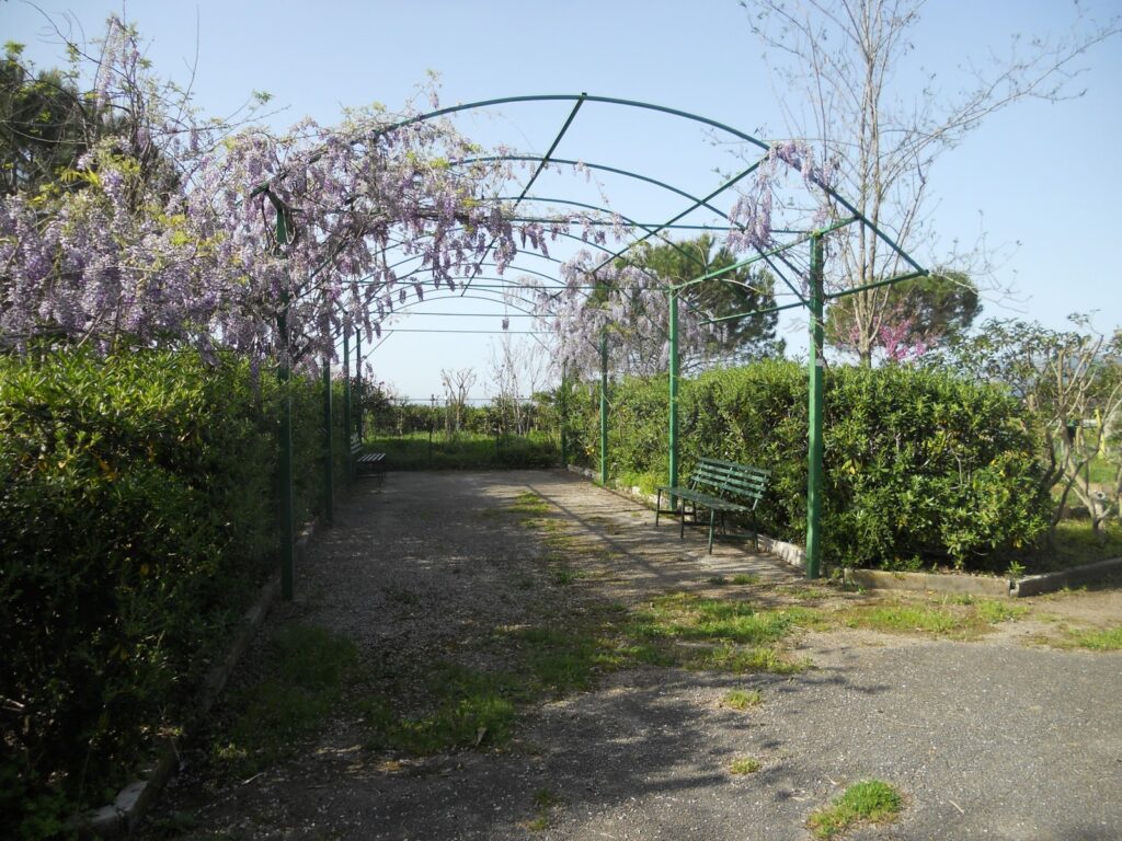 Comitato Parco Marinella ONLUS - VILLAMMARE